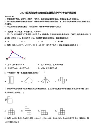 2024届黑龙江省鹤岗市绥滨县重点中学中考数学猜题卷含解析.doc