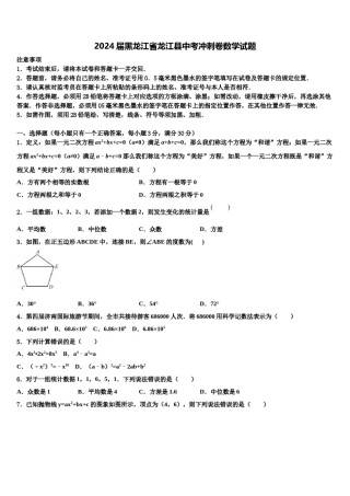 2024届黑龙江省龙江县中考冲刺卷数学试题含解析.doc