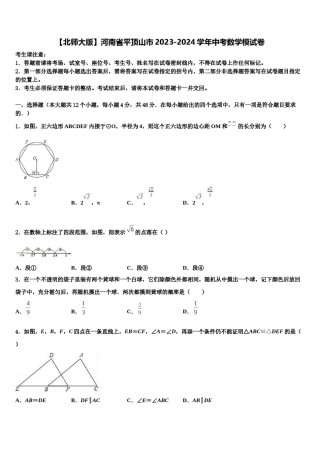 【北师大版】河南省平顶山市2023-2024学年中考数学模试卷含解析.doc