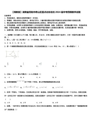 【湘教版】湖南省岳阳市君山区重点达标名校2024届中考四模数学试题含解析.doc