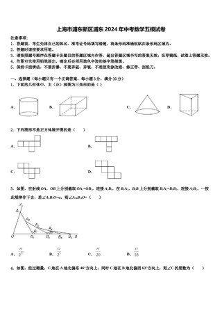 上海市浦东新区浦东2024年中考数学五模试卷含解析.doc