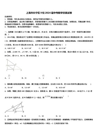 上海市长宁区9校2024届中考数学仿真试卷含解析.doc