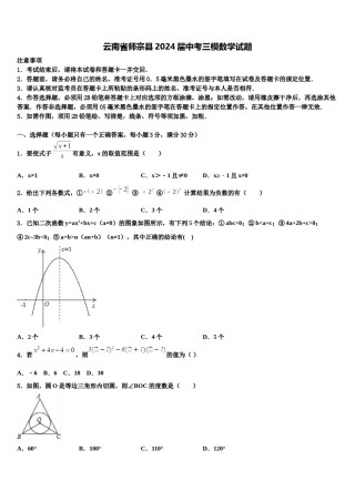 云南省师宗县2024届中考三模数学试题含解析.doc