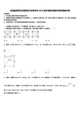 云南省昆明市云南师范大实验中学2024届中考数学最后冲刺浓缩精华卷含解析.doc