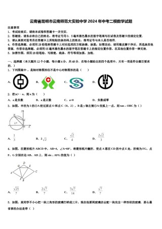 云南省昆明市云南师范大实验中学2024年中考二模数学试题含解析.doc