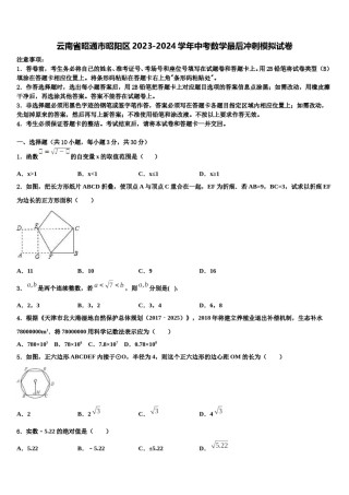 云南省昭通市昭阳区2023-2024学年中考数学最后冲刺模拟试卷含解析.doc