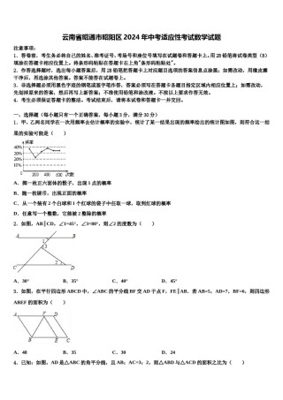 云南省昭通市昭阳区2024年中考适应性考试数学试题含解析.doc
