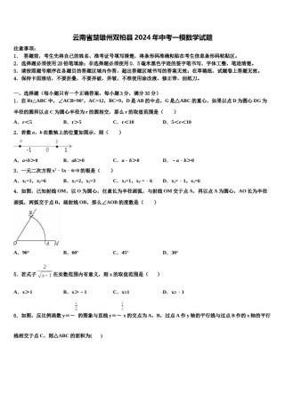 云南省楚雄州双柏县2024年中考一模数学试题含解析.doc