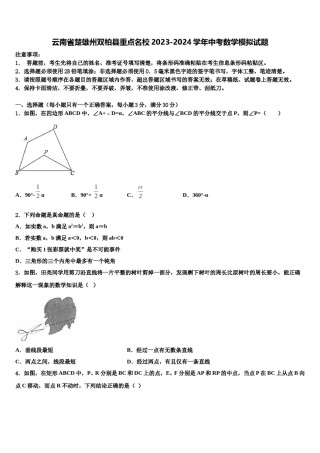 云南省楚雄州双柏县重点名校2023-2024学年中考数学模拟试题含解析.doc