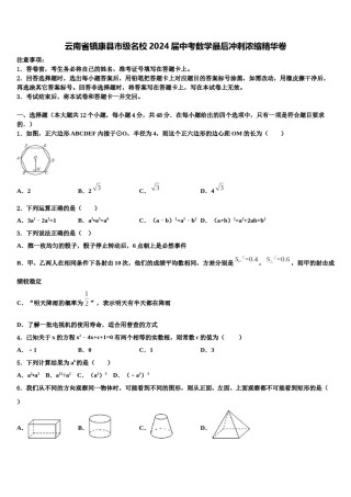 云南省镇康县市级名校2024届中考数学最后冲刺浓缩精华卷含解析.doc