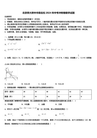 北京师大附中市级名校2024年中考冲刺卷数学试题含解析.doc