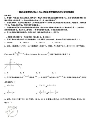 十堰市茂华中学2023-2024学年中考数学对点突破模拟试卷含解析.doc