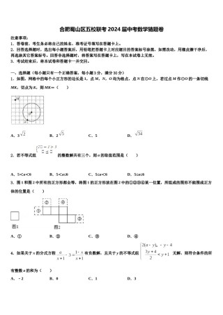 合肥蜀山区五校联考2024届中考数学猜题卷含解析.doc