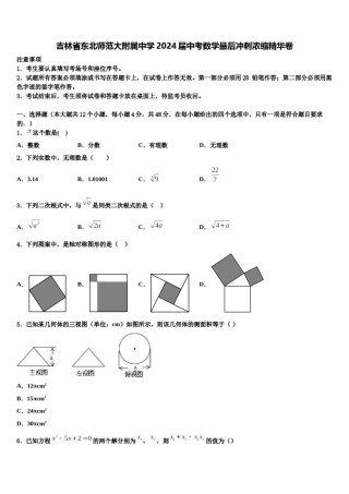 吉林省东北师范大附属中学2024届中考数学最后冲刺浓缩精华卷含解析.doc