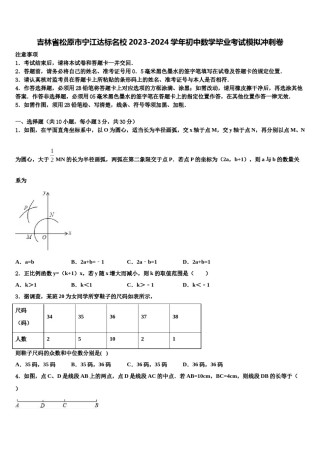 吉林省松原市宁江达标名校2023-2024学年初中数学毕业考试模拟冲刺卷含解析.doc
