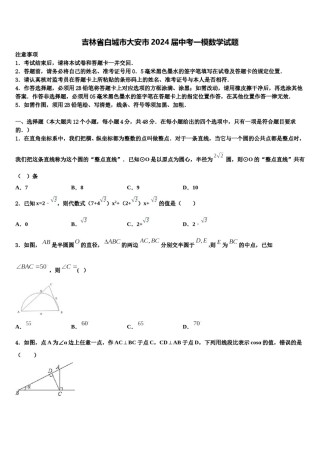 吉林省白城市大安市2024届中考一模数学试题含解析.doc