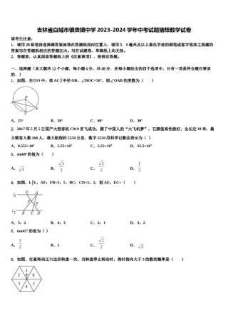 吉林省白城市镇赉镇中学2023-2024学年中考试题猜想数学试卷含解析.doc
