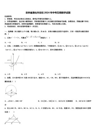 吉林省通化市名校2024年中考五模数学试题含解析.doc
