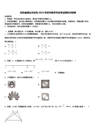 吉林省通化市名校2024年初中数学毕业考试模拟冲刺卷含解析.doc