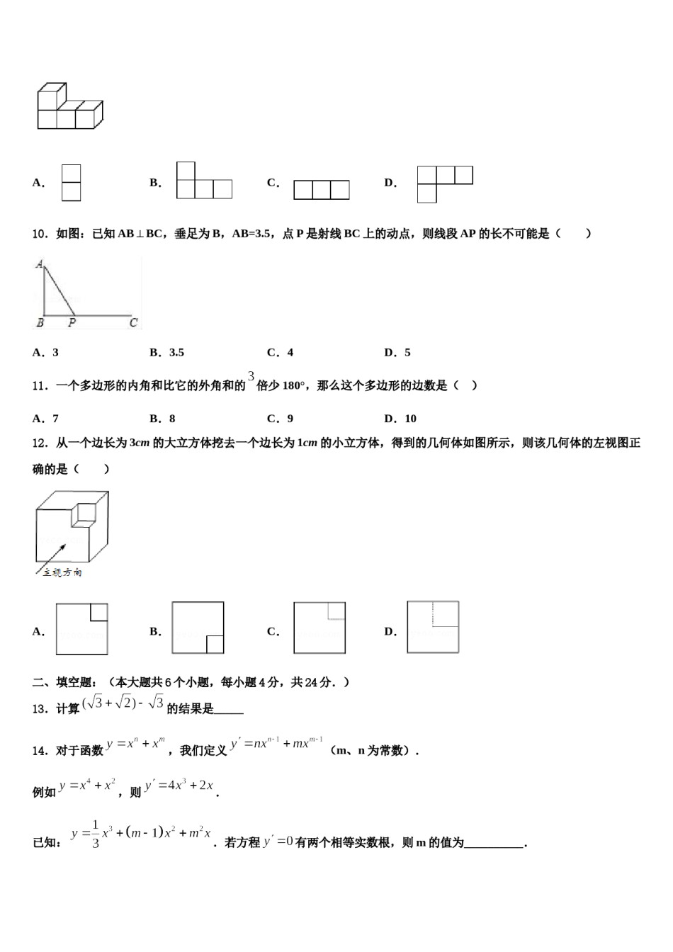 吉林省长春市南关区东北师大附中2024届中考数学全真模拟试题含解析.doc_第3页