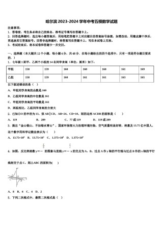 哈尔滨2023-2024学年中考五模数学试题含解析.doc