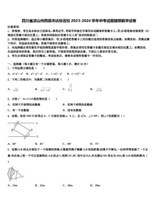 四川省凉山州西昌市达标名校2023-2024学年中考试题猜想数学试卷含解析.doc