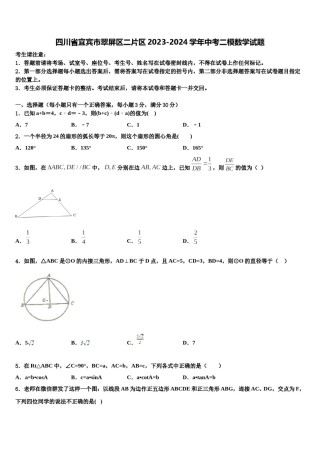 四川省宜宾市翠屏区二片区2023-2024学年中考二模数学试题含解析.doc