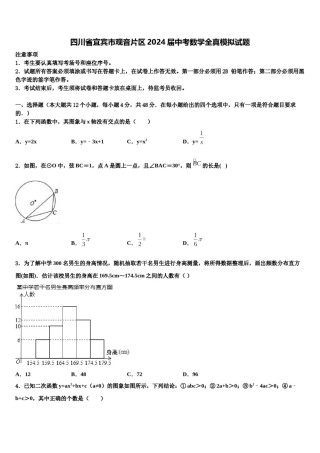 四川省宜宾市观音片区2024届中考数学全真模拟试题含解析.doc