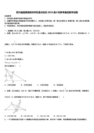 四川省富顺县骑龙学区重点名校2024届十校联考最后数学试题含解析.doc