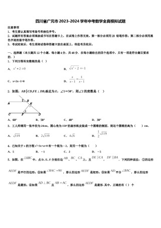 四川省广元市2023-2024学年中考数学全真模拟试题含解析.doc