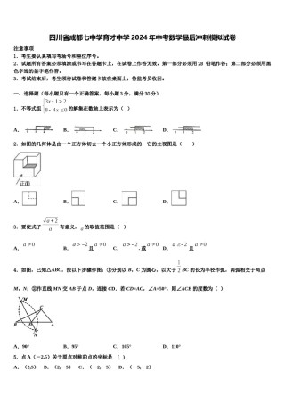四川省成都七中学育才中学2024年中考数学最后冲刺模拟试卷含解析.doc