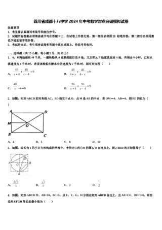 四川省成都十八中学2024年中考数学对点突破模拟试卷含解析.doc
