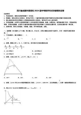 四川省成都外国语校2024届中考数学对点突破模拟试卷含解析.doc