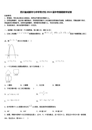 四川省成都市七中学育才校2024届中考猜题数学试卷含解析.doc