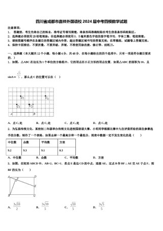 四川省成都市嘉祥外国语校2024届中考四模数学试题含解析.doc