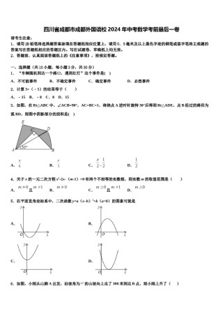 四川省成都市成都外国语校2024年中考数学考前最后一卷含解析.doc