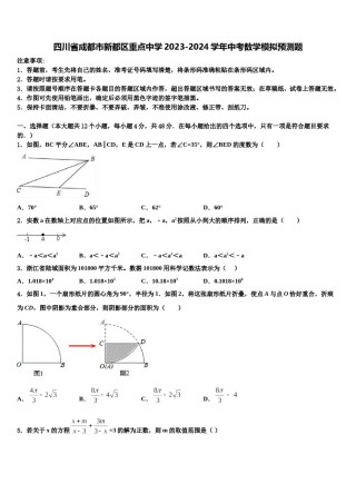 四川省成都市新都区重点中学2023-2024学年中考数学模拟预测题含解析.doc