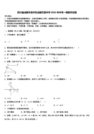 四川省成都市青羊区成都石室中学2024年中考一模数学试题含解析.doc