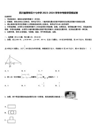 四川省攀枝花十七中学2023-2024学年中考数学四模试卷含解析.doc
