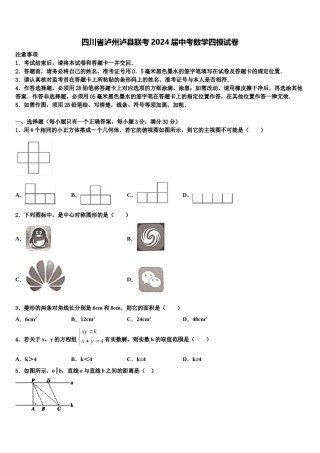 四川省泸州泸县联考2024届中考数学四模试卷含解析.doc
