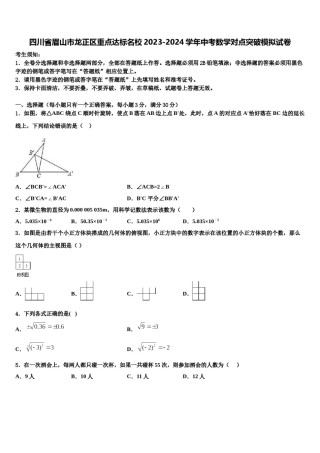 四川省眉山市龙正区重点达标名校2023-2024学年中考数学对点突破模拟试卷含解析.doc