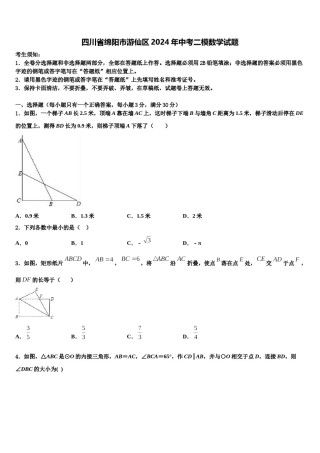 四川省绵阳市游仙区2024年中考二模数学试题含解析.doc