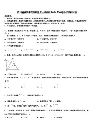 四川省资阳市安岳县重点达标名校2024年中考数学模拟试题含解析.doc