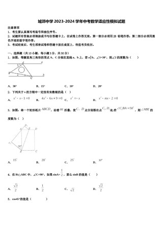 城郊中学2023-2024学年中考数学适应性模拟试题含解析.doc