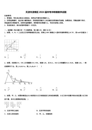 天津市津南区2024届中考冲刺卷数学试题含解析.doc