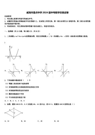 威海市重点中学2024届中考数学仿真试卷含解析.doc
