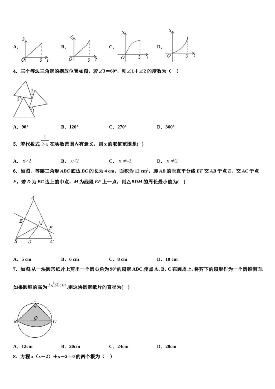安师大附中2024年中考数学猜题卷含解析.doc_第2页