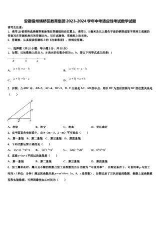 安徽宿州埇桥区教育集团2023-2024学年中考适应性考试数学试题含解析.doc