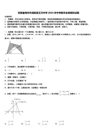 安徽省亳州市涡阳县王元中学2024年中考数学全真模拟试题含解析.doc
