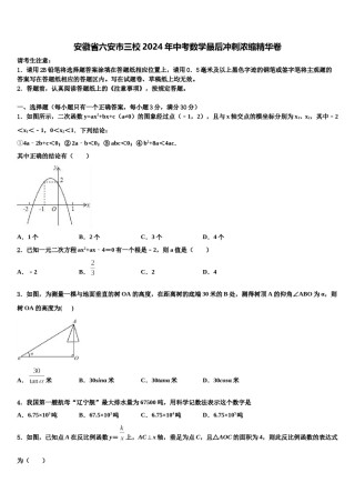 安徽省六安市三校2024年中考数学最后冲刺浓缩精华卷含解析.doc